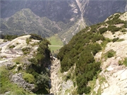 Walter 08.07.08-02.01.200961